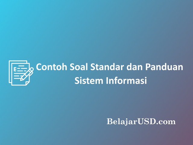 Contoh standar dan panduan untuk audit sistem informasi